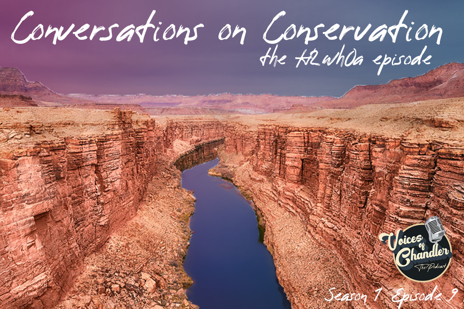 Conversations on Conservation