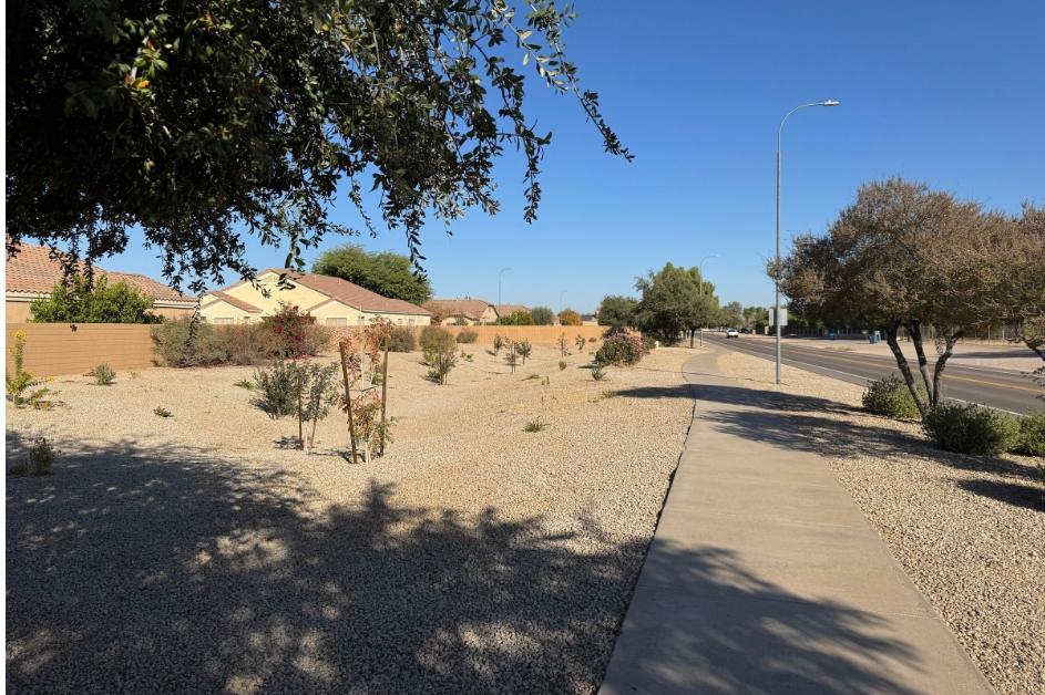 Sun Groves After Photo