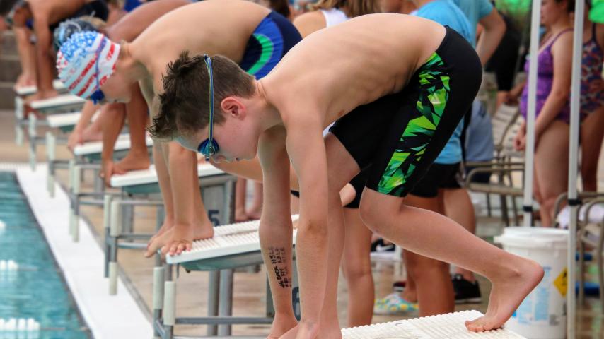 swim team divers