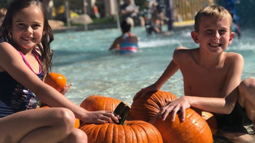 pumpkin dunk