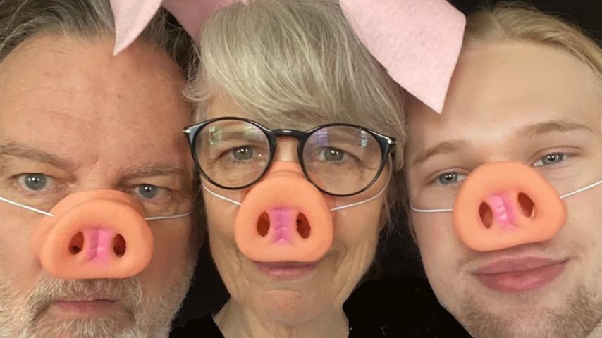 three little pigs book cover inspiration