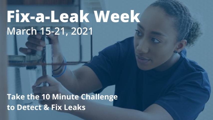 Fix A Leak week Challenge