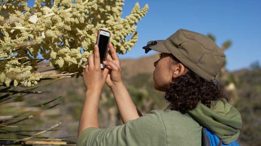 woman photographing plant