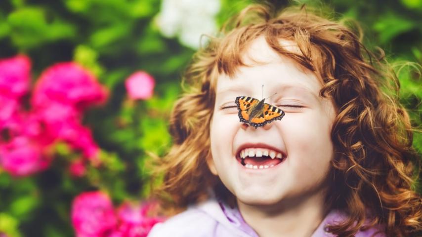 Butterfly ¡Fiesta!