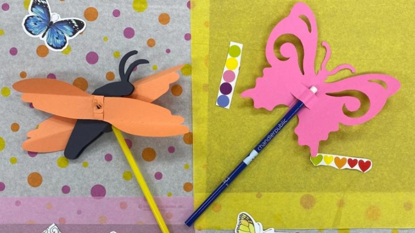 Grab & Go - All About Butterflies!