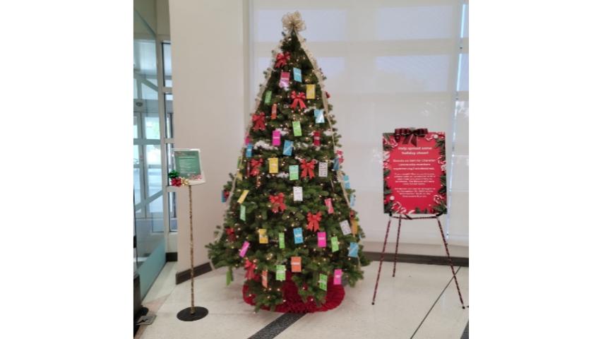 Library Giving Tree
