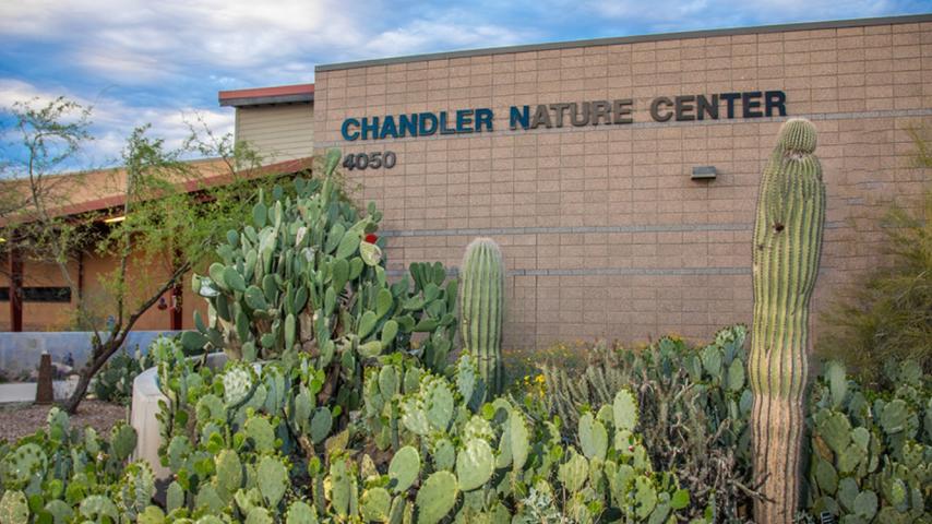 chandler nature center