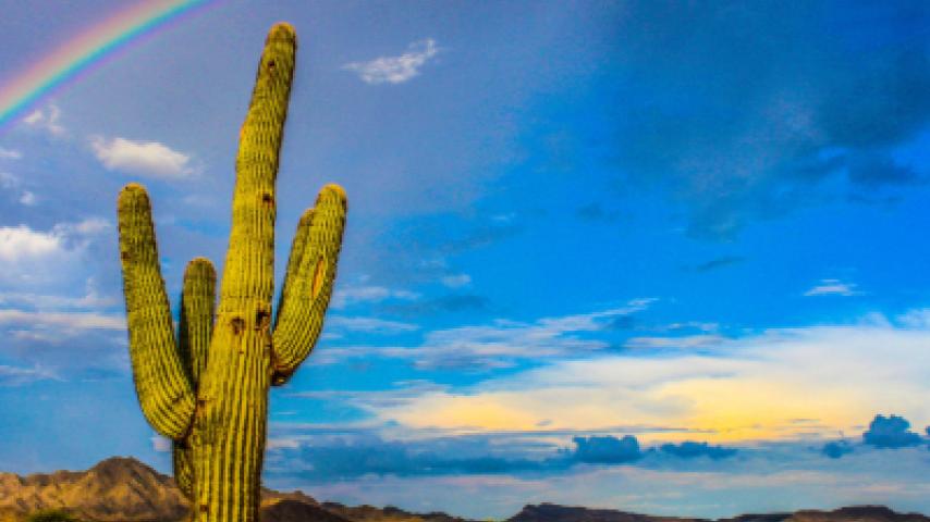 Desert Rainbow bridge
