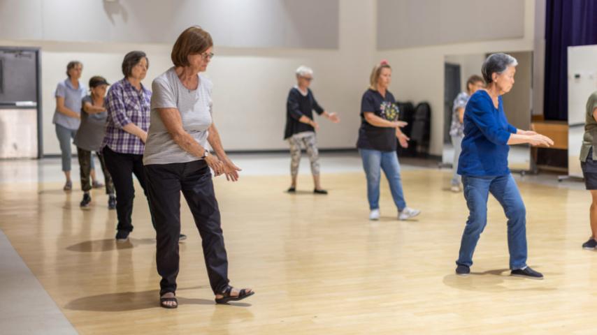 Seniors practicing tai chi