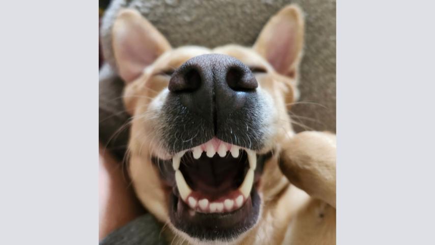 Amelia 2025 Photo Contest Winner