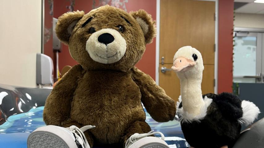 teddy bear and stuffed ostrich sitting together