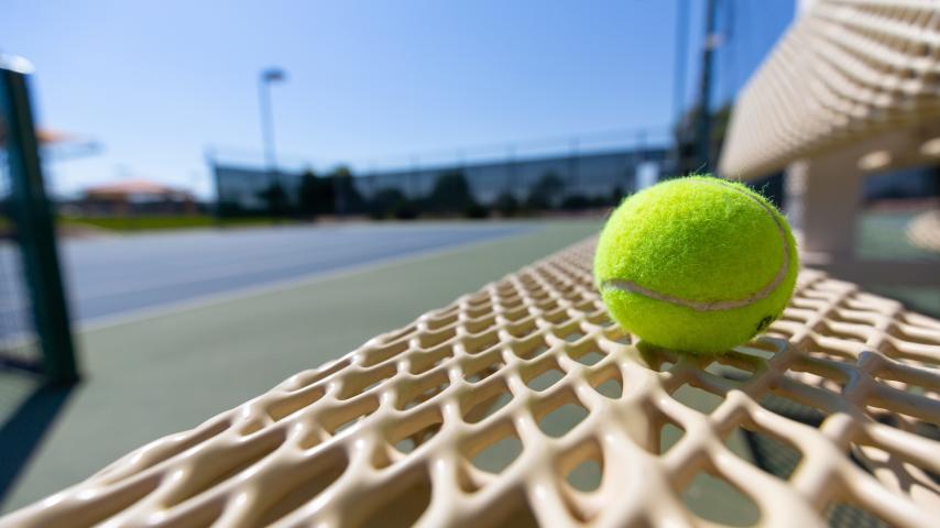 Green tennis ball sitting on a bench