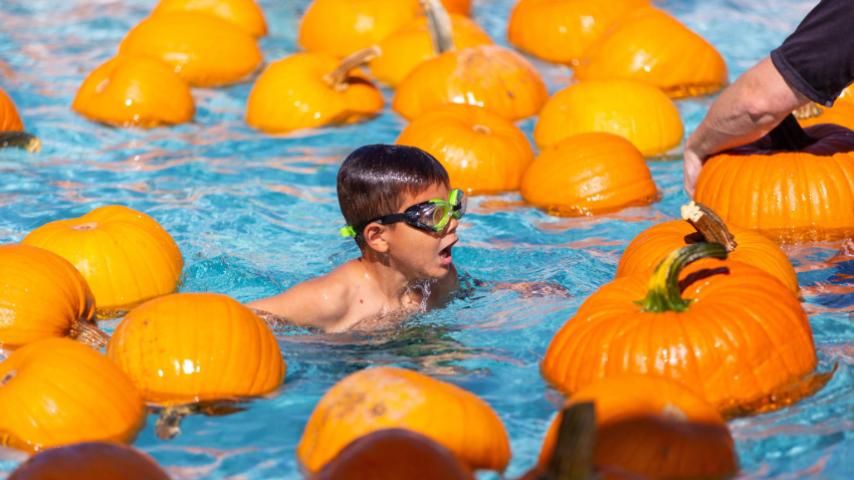 boy with goggles swimming through pumpkins that are floating in the water