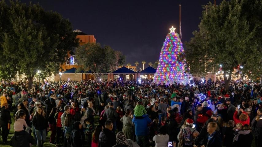 Tumbleweed Tree Lighting 