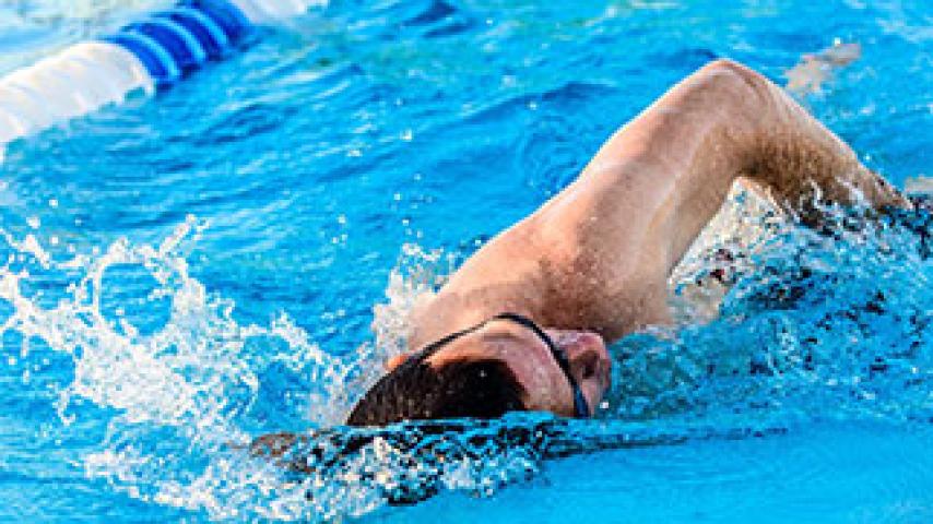 lap swimmer