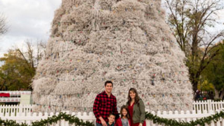 tumbleweed tree family