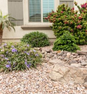 Create Your Own Oasis in the Desert I