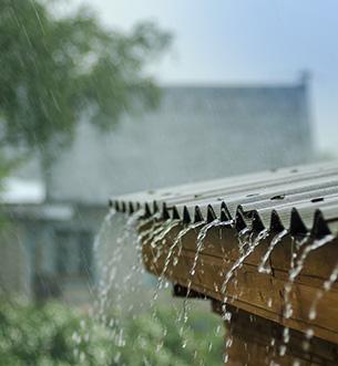 Rainwater Harvesting