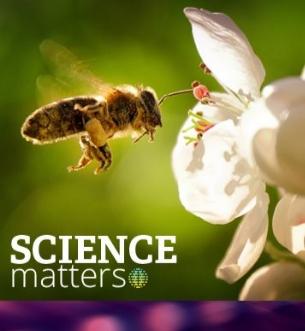 Science Matters @ CPL: Keeping Our Bees