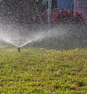 Watering Basics for a Healthy Landscape