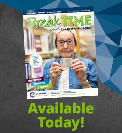 break time fall cover