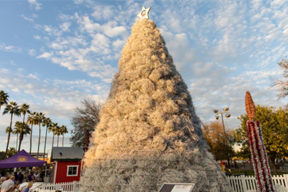 Tumbleweed Tree