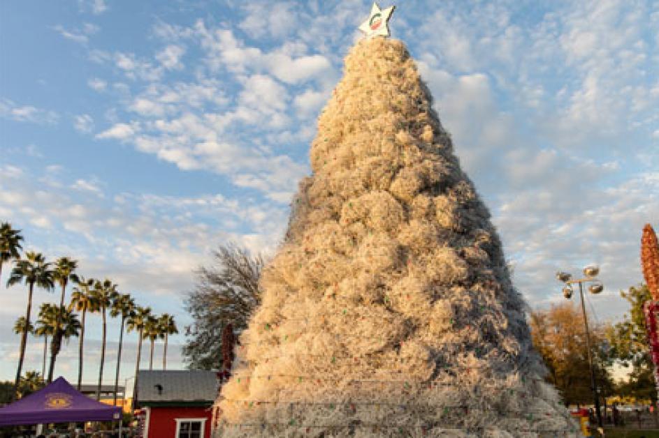 Tumbleweed Tree