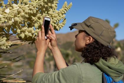 woman in the desert taking picture on phone