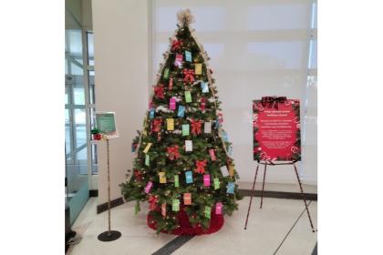 Library giving tree