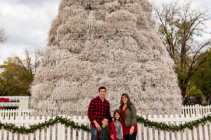 tumbleweed tree family