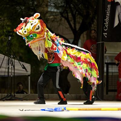 Chinese Dragon Dancer at the Multicultural Festival