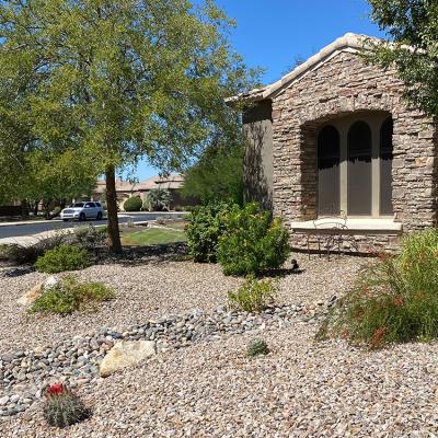 residential home with xeriscape