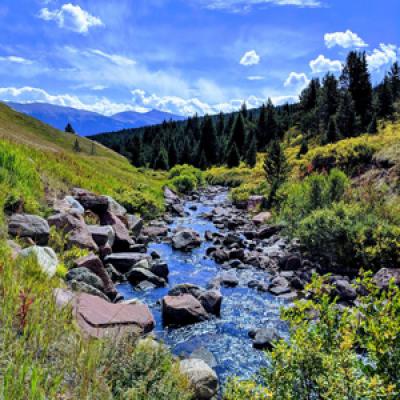 Nature Photo Contest
