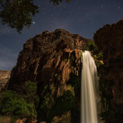 Nature Photo Contest