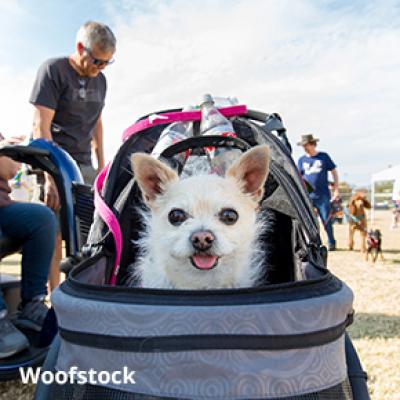 Woofstock