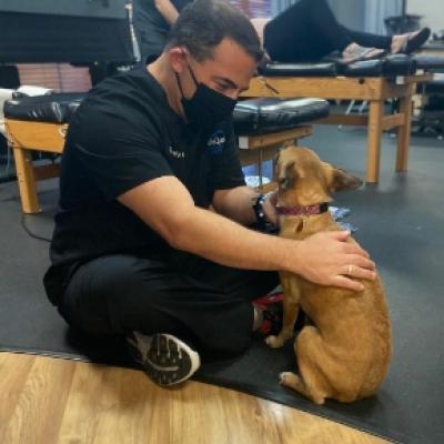 Vet wearing a mask while petting a dog