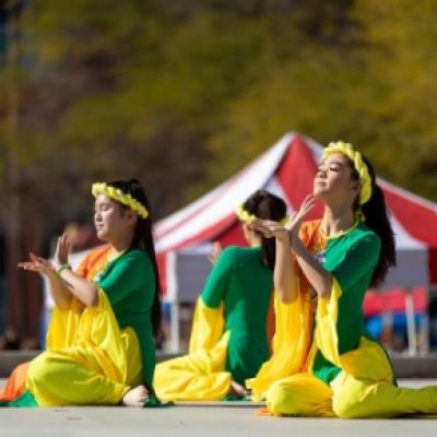 Multicultural Festival Performers