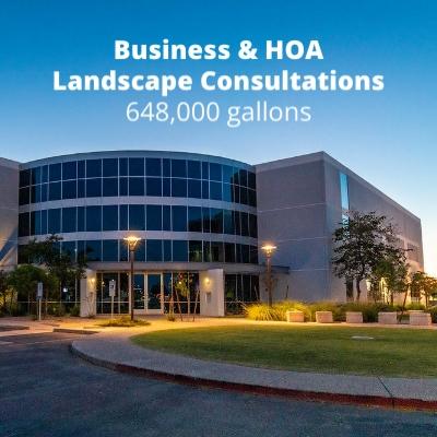 Business and HOA Landscape Consultations – 648,000 Gallons