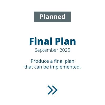 Final Plan