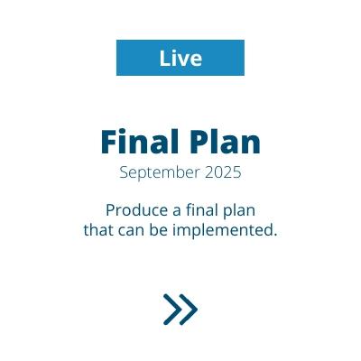 Final Plan Live