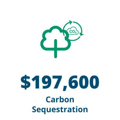 Carbon Sequestration