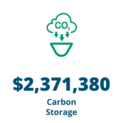 Carbon Storage