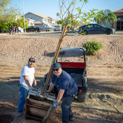 For Our City Day volunteers planting a tree
