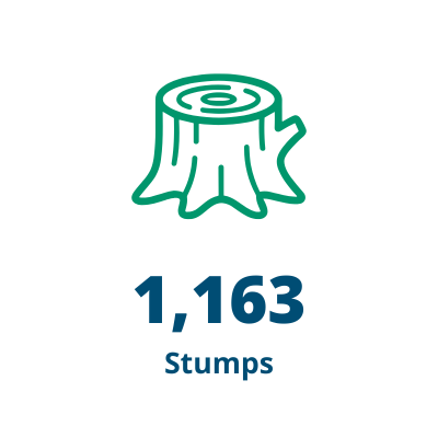 Stumps
