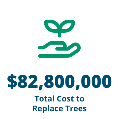 Total Cost to Replace Trees