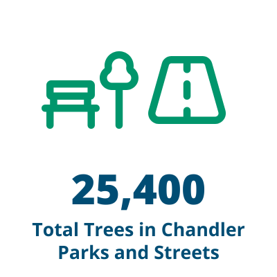 Total Trees in Chandler Parks and Streets