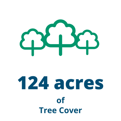 Tree Cover