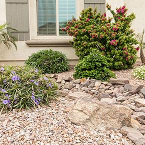 Chandler yard with xeriscape landscape