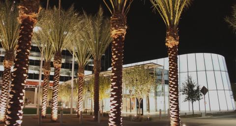 council-chambers-at-night