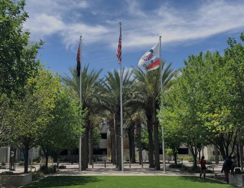 Flags at Chandler City Hall 